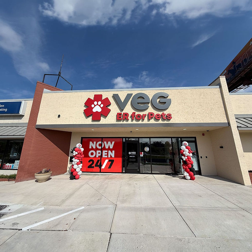 VEG Knoxville