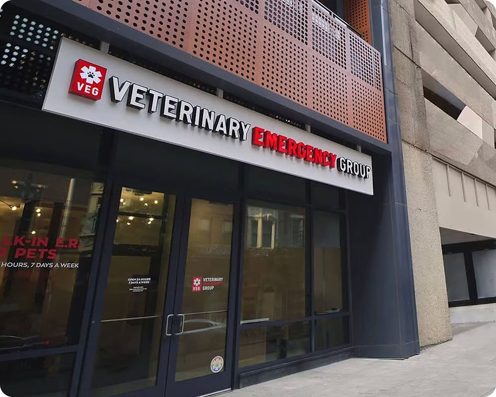 Photo of the front of the VEG Vet Building 