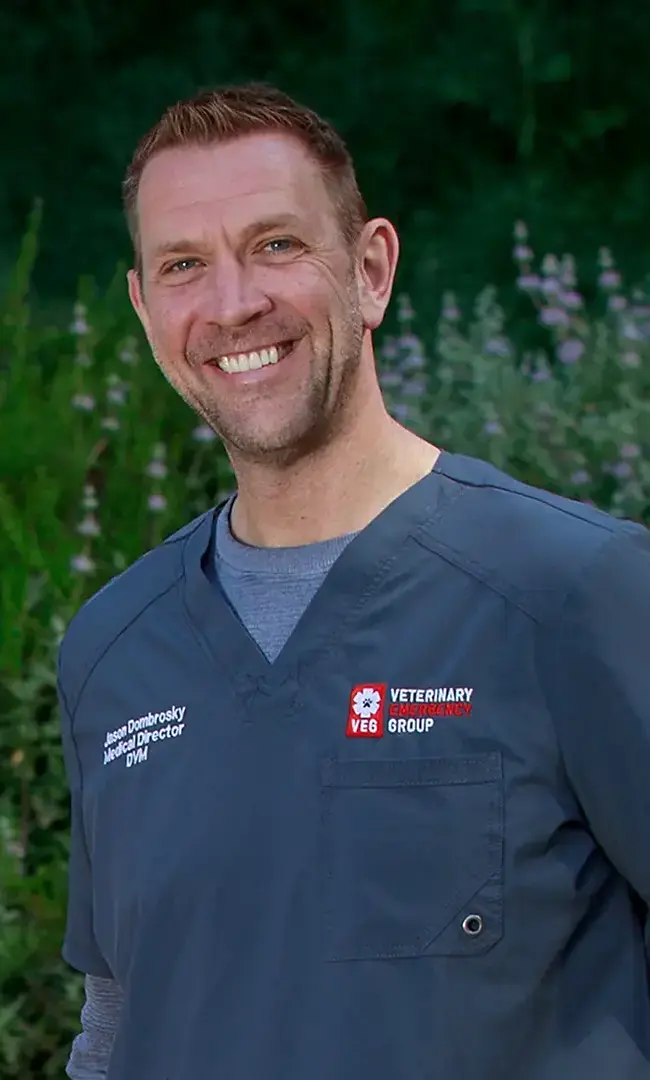 Portrait of Jason Dombrosky