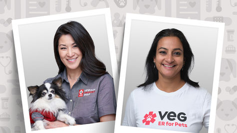 Two photographs showing employees at VEG, one wearing scrubs and holding a white dog, the other wearing a white shirt, both are smiling at the camera