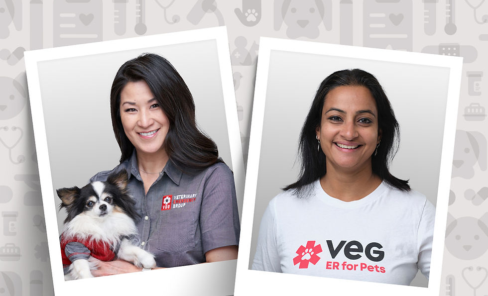 VEG ER for pets.png
