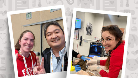 Two photographs of smiling veterinary nurses at VEG ER for Pets