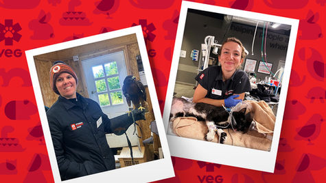Two photographs of smiling veterinary nurses at VEG ER for Pets