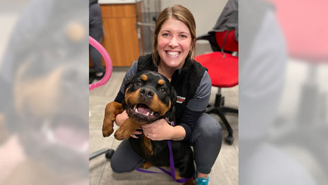 A smiling VEG employee in the hospital wearing scrubs and holding a dog. 