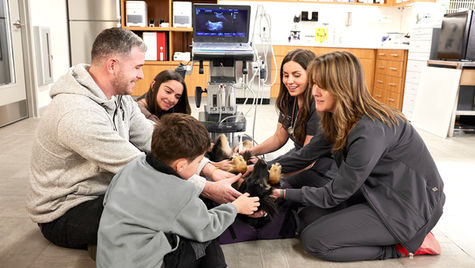 A VEG sonographer performing an ultrasound on a dog surrounded by the animal's family. 
