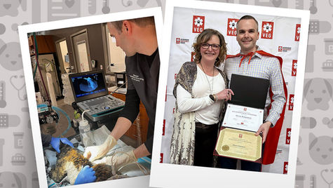Two pictures side by side show a veterinary nurse working on a pet in a hospital and the other receiving an educational certificate.