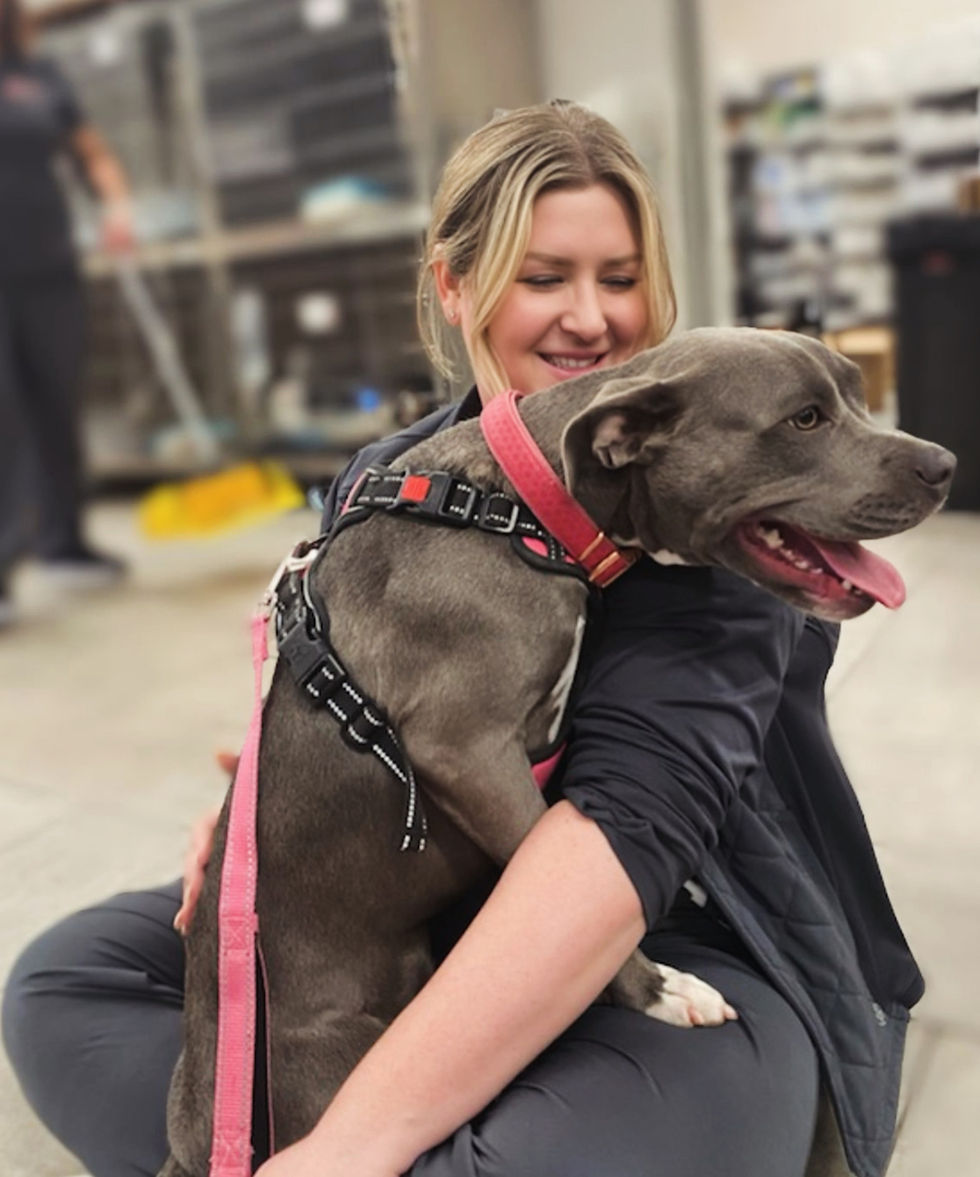 Female VEG scribe sitting on floor with a gray dog in her lap.