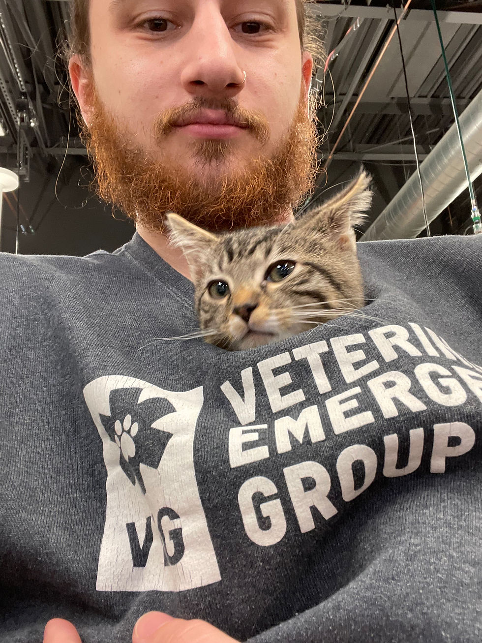 A man with a beard holding a cat snuggled in his sweatshirt