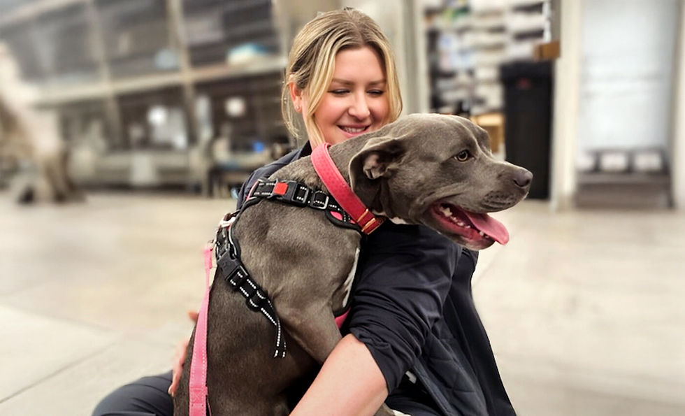 A vet staff member sitting on the floor of a vet hospital is holding a dog and smiling