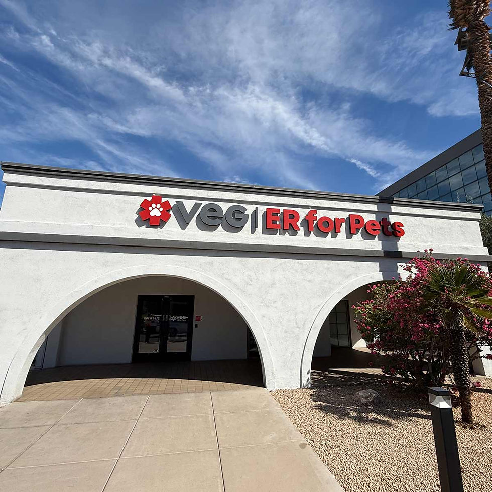 VEG ER for Pets Hospital in Phoenix, Arizona Location Exterior
