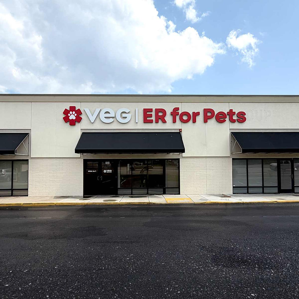 VEG Littleton