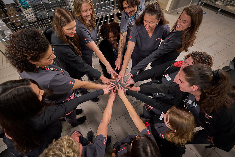 a group of doctors, nurses, and assistants standing together in a circle with their airms extended outward making a peace sign with their fingers
