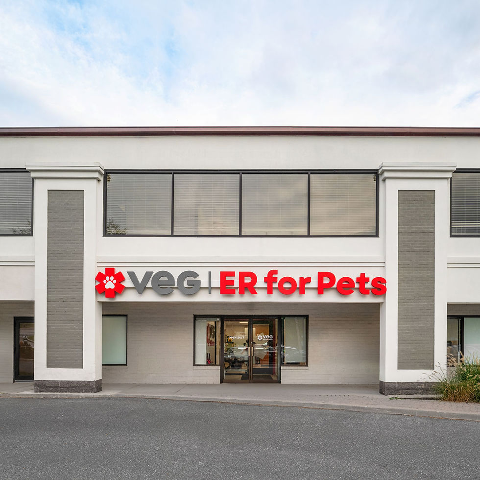 VEG ER for Pets Hospital in Pikesville, Maryland Location Exterior