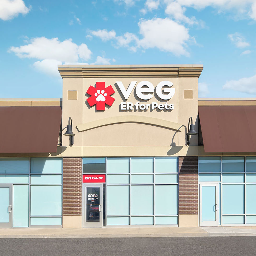 VEG ER for pets.png
