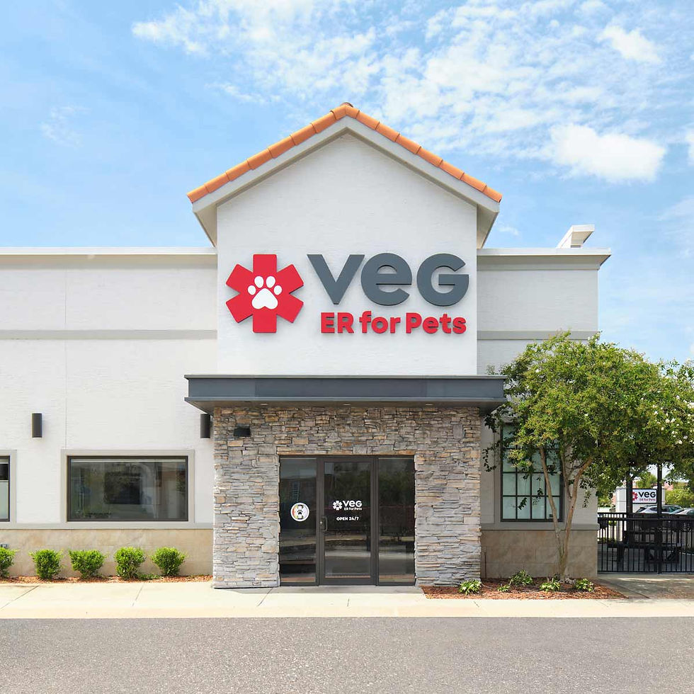 VEG ER for Pets Hospital in Jacksonville, Florida Location Exterior