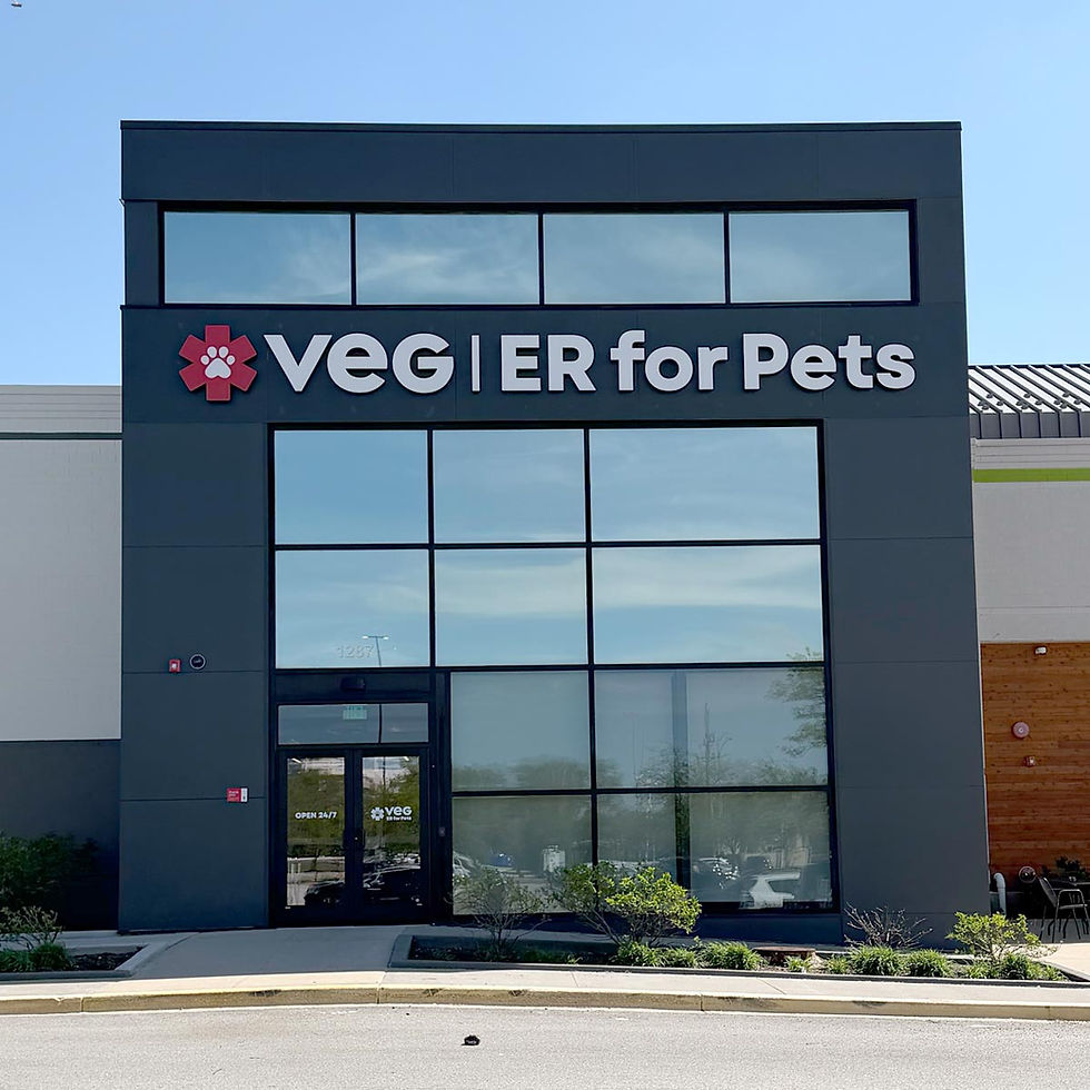 VEG Schaumburg