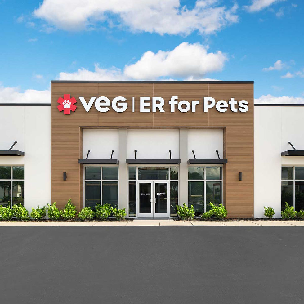 VEG Fort Myers
