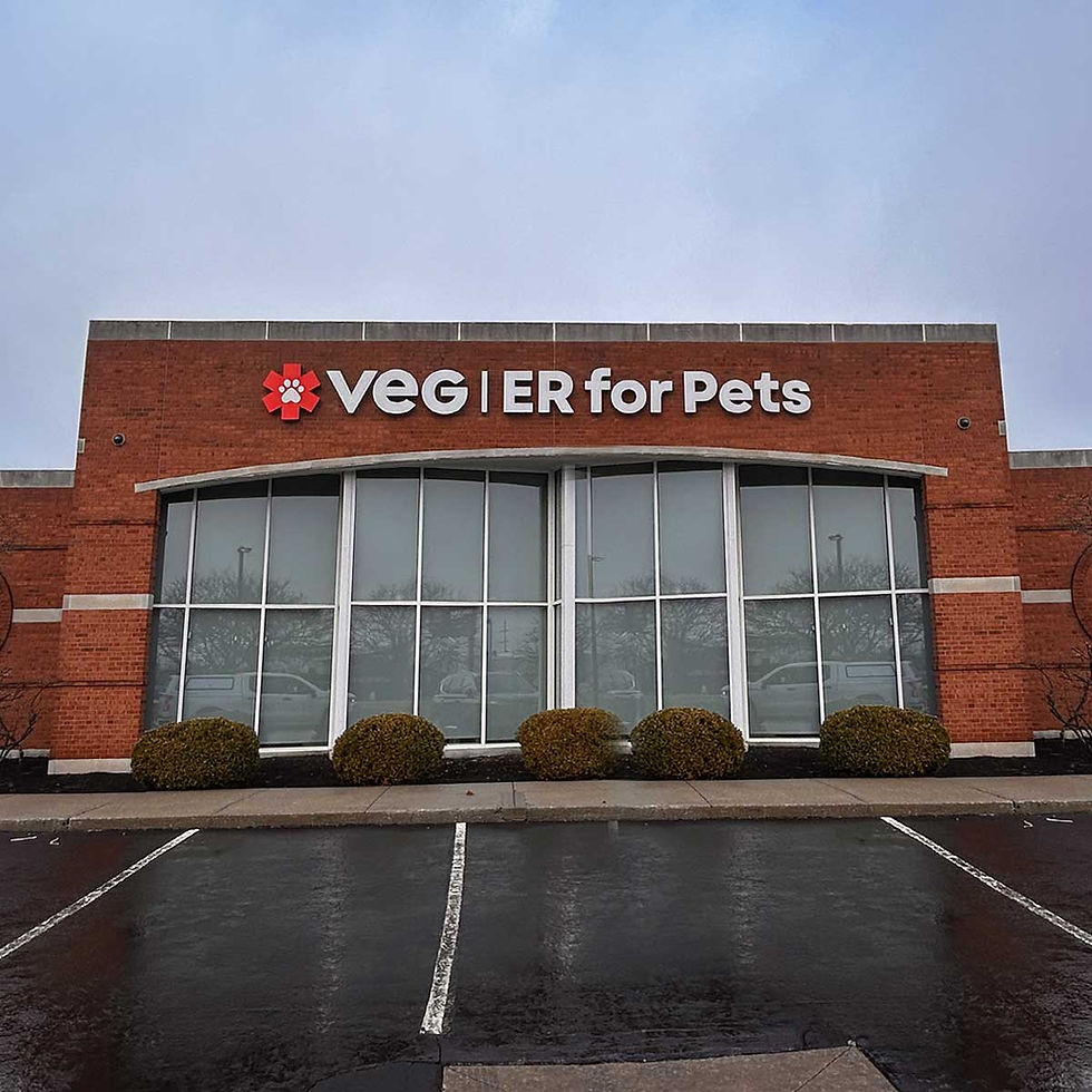 VEG Dublin