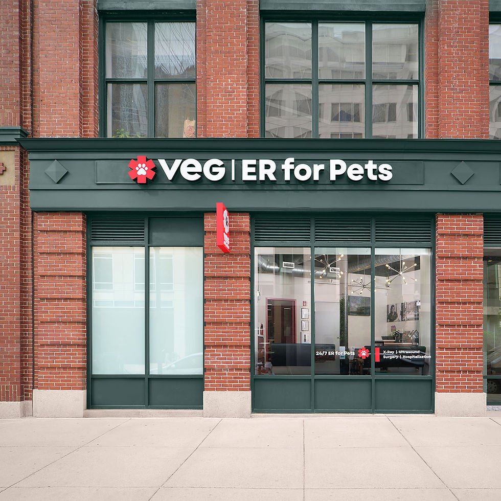 VEG Boston