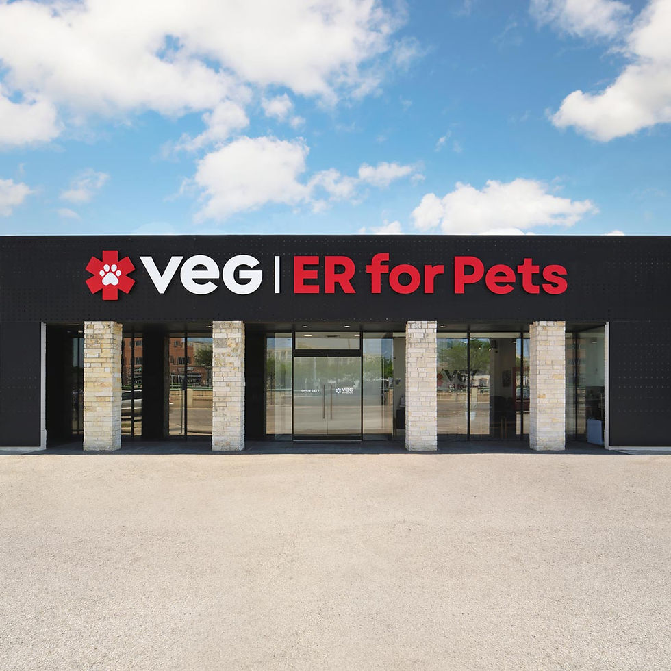 VEG Dallas