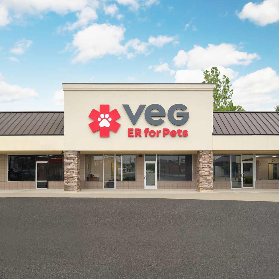 VEG Nora, Indianapolis
