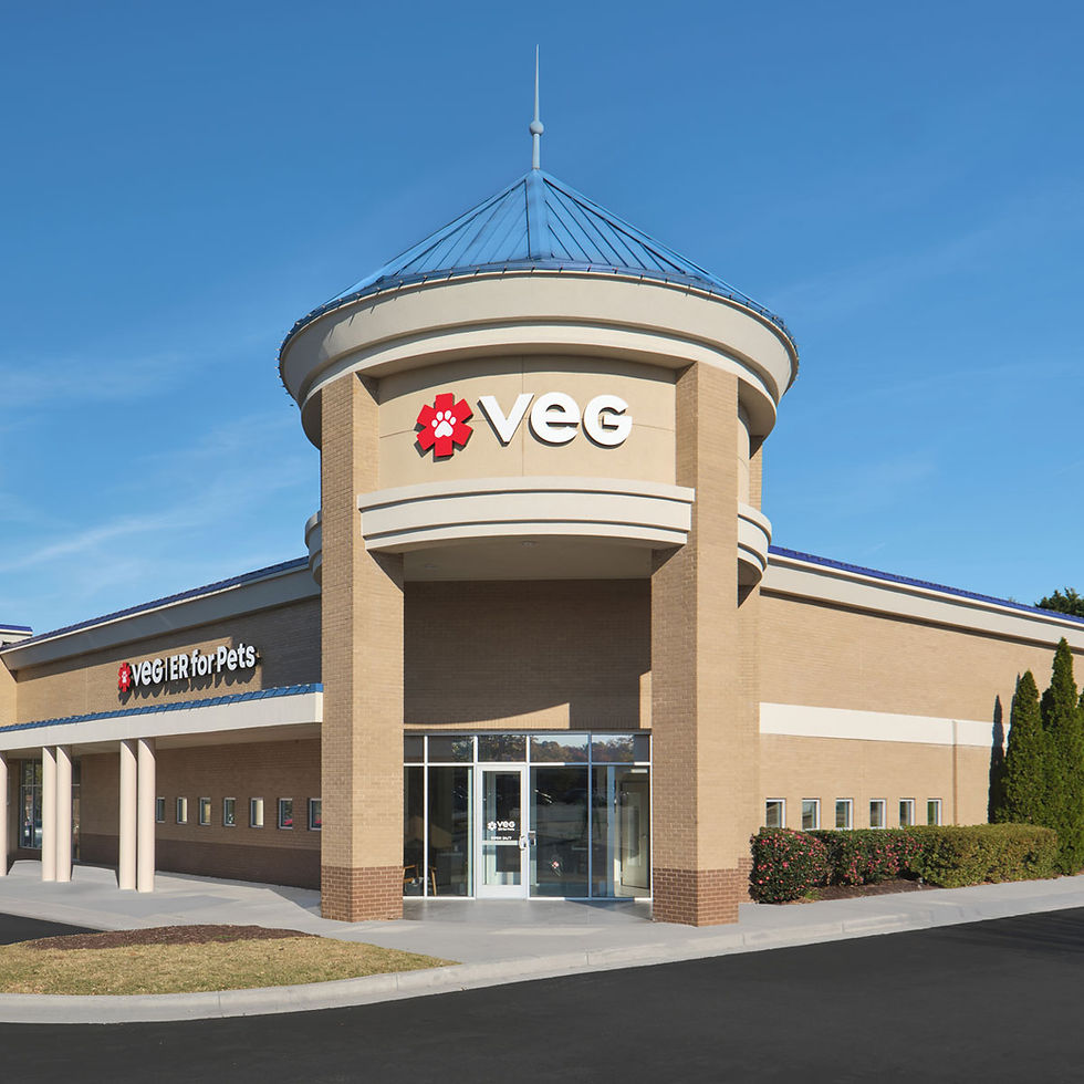 VEG Snellville