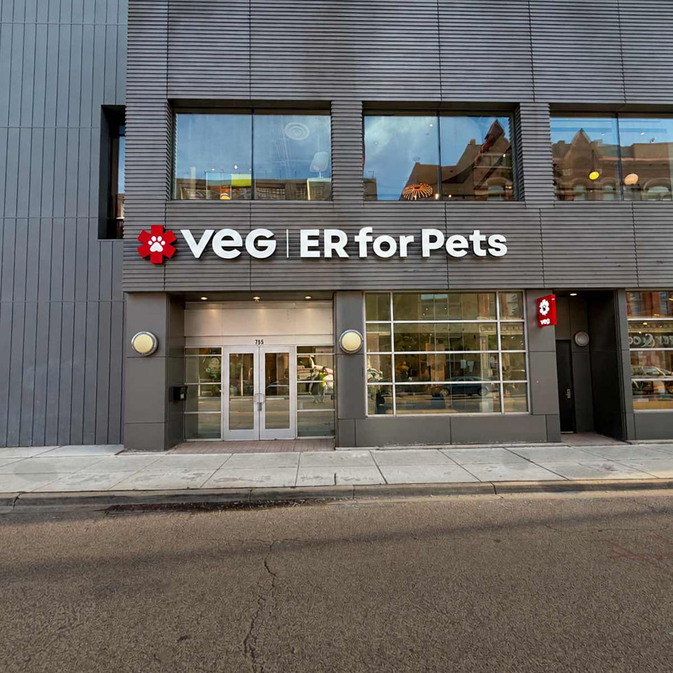 VEG ER for Pets Hospital in Pets Lincoln Park, Illinois Location Exterior