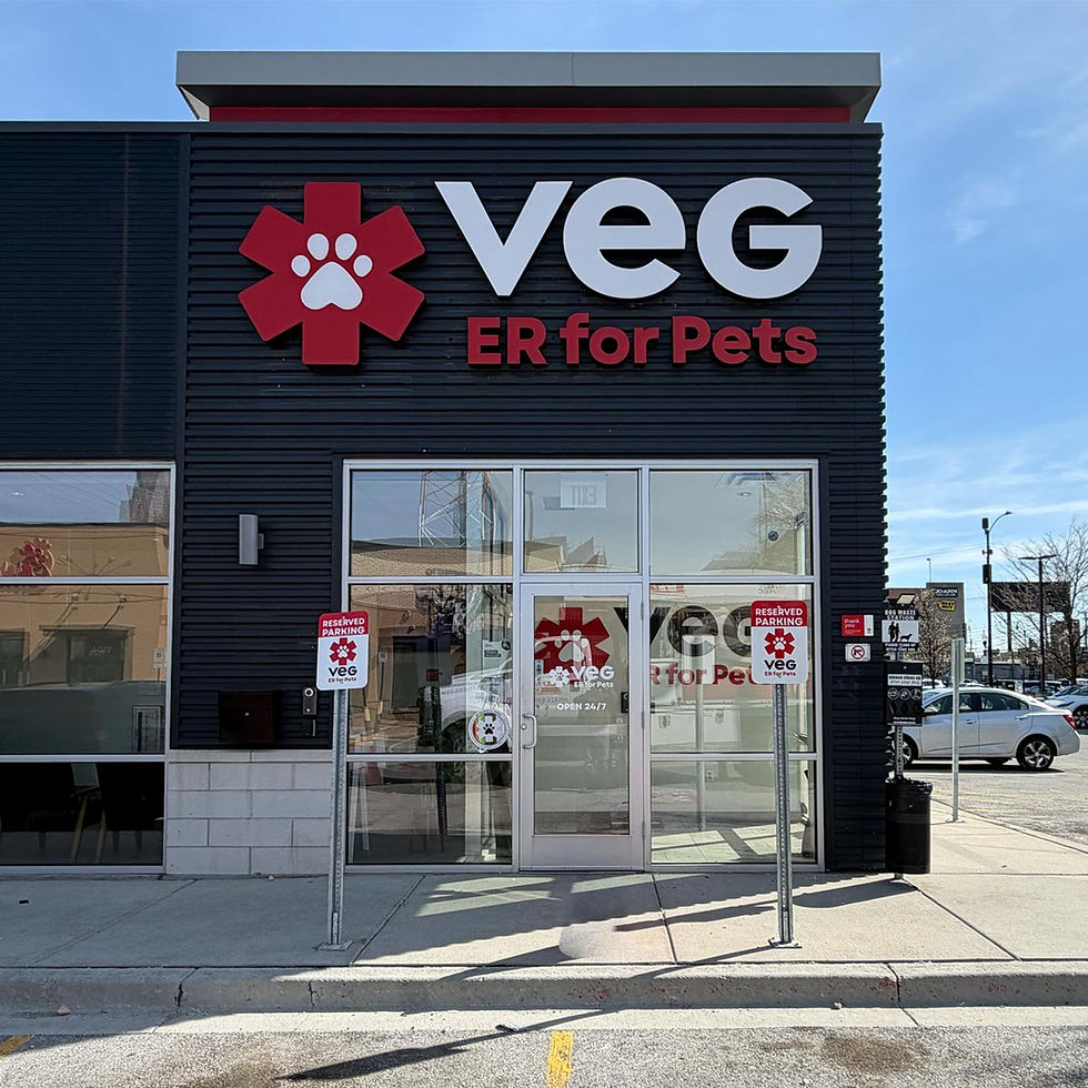 VEG ER for Pets Hospital in South Loop, Illinois Location Exterior