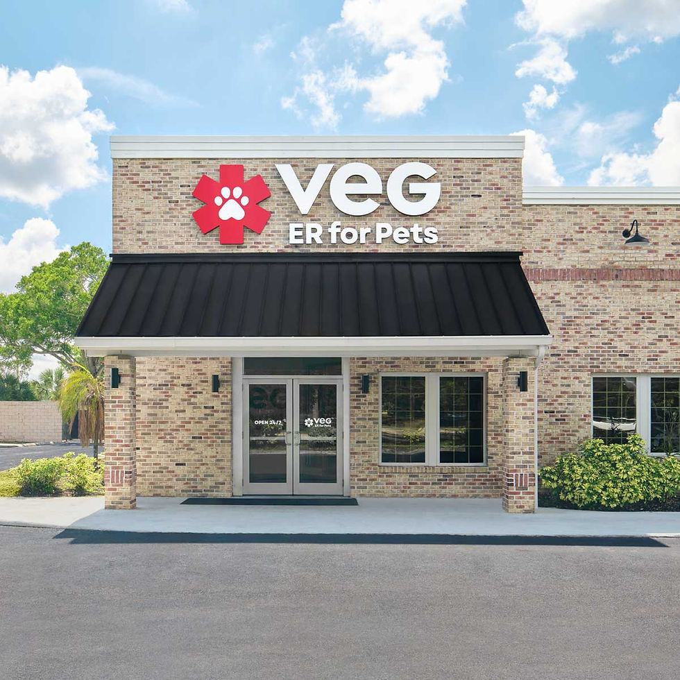 VEG ER for Pets Hospital in North Tampa, Florida Location Exterior