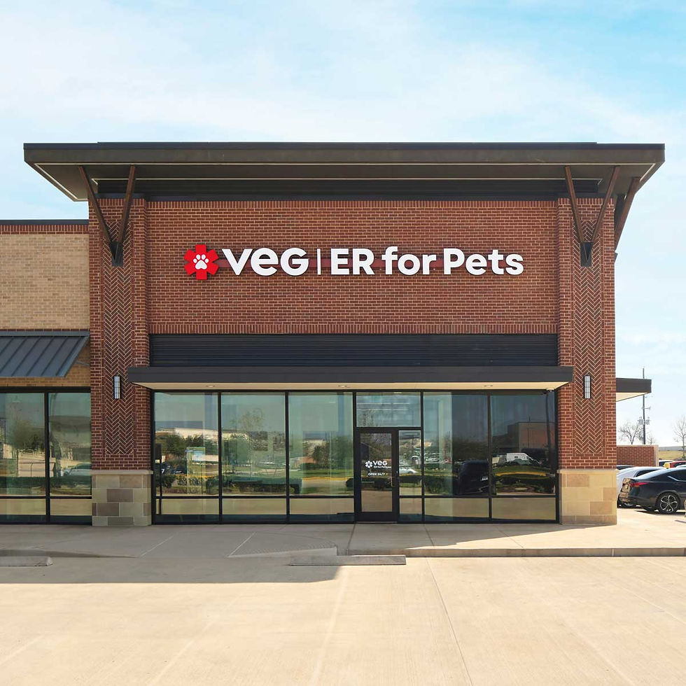 VEG ER for Pets Hospital in Sugar Land, Texas Location Exterior