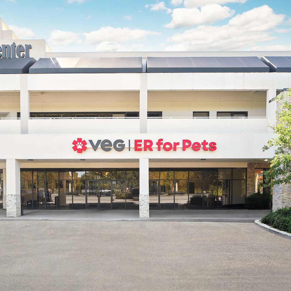 VEG ER for Pets Hospital in Pinecrest, Florida Location Exterior